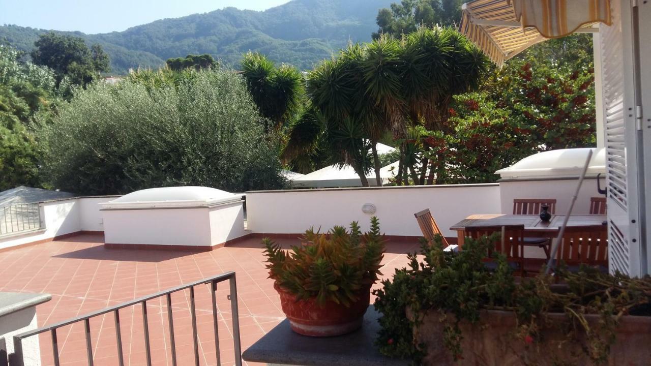 La Terrazza Dell^Ippocampo #Seaview Apartment Ischia Exterior foto